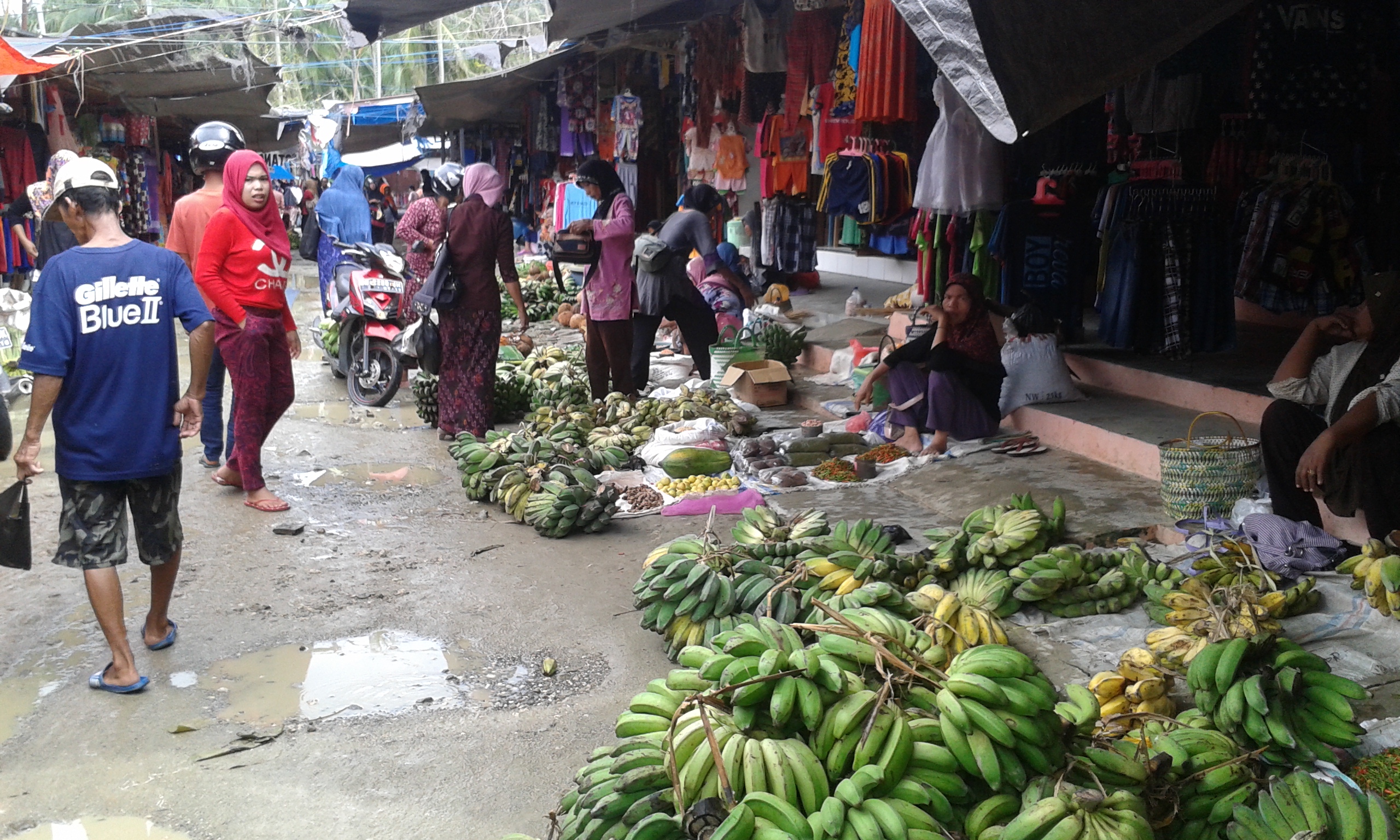 Bananen am Markt in Donggala