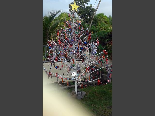 Weihnachtsbaum in Tingib