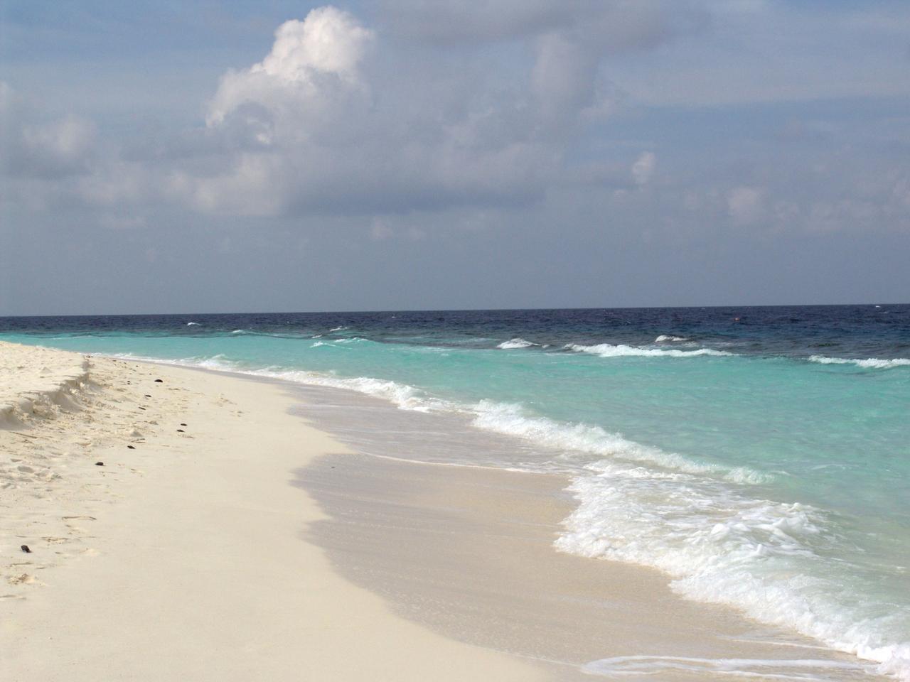 Strand mit toten Rotzahn-Drückern :-(