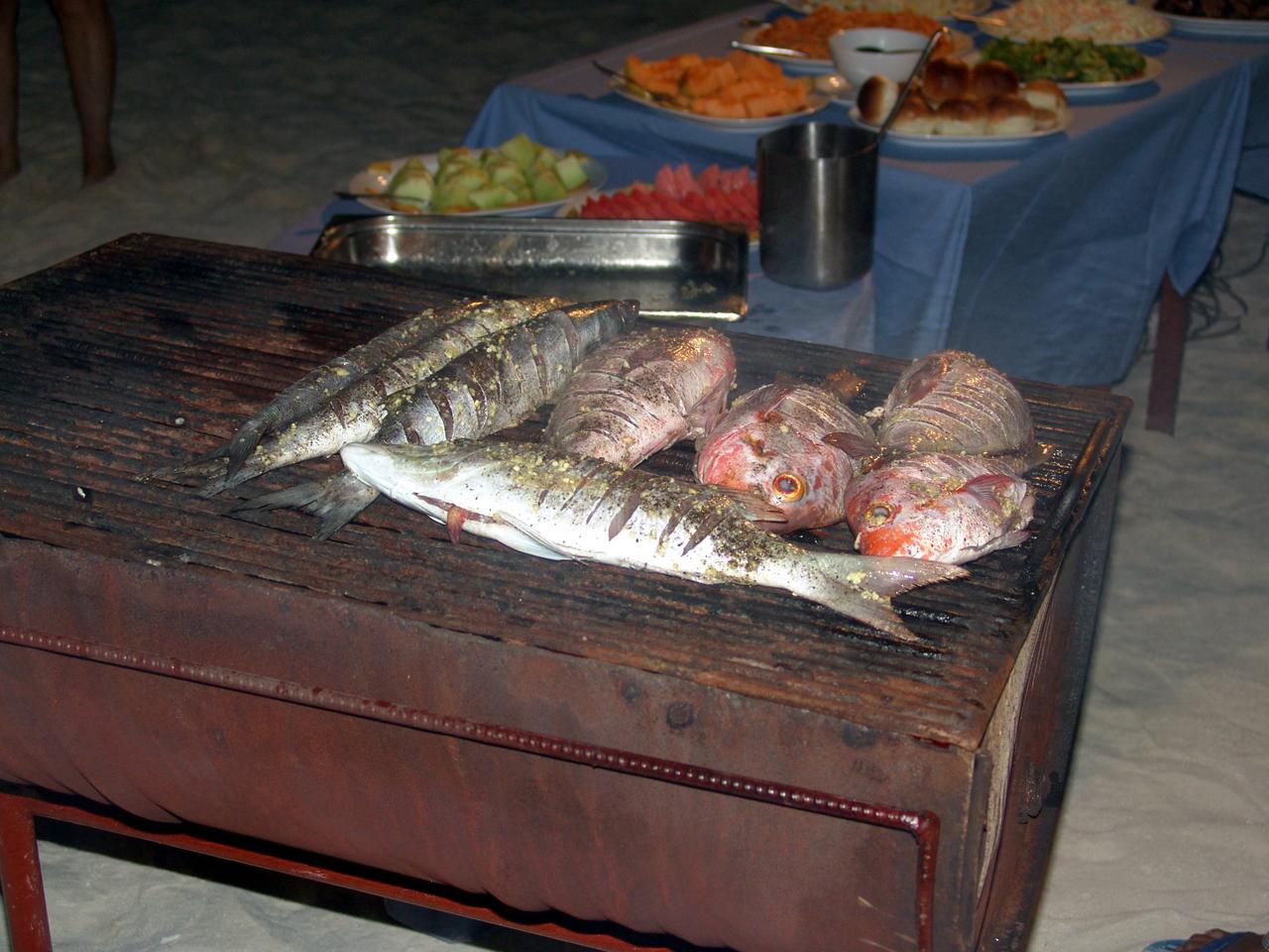 Selbst gefangenes Festmahl am Strand