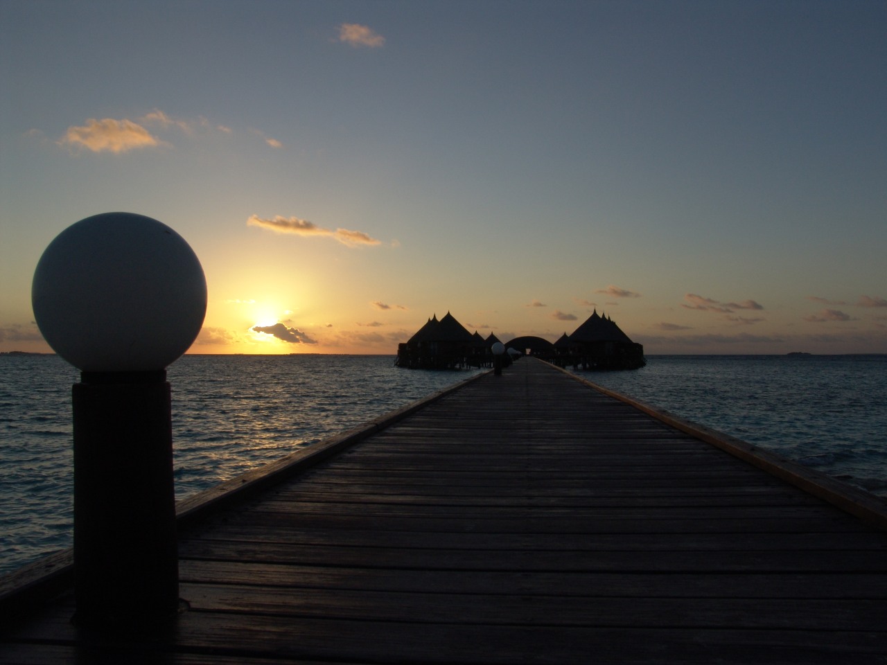 Wasserbungis im Sonnenuntergang