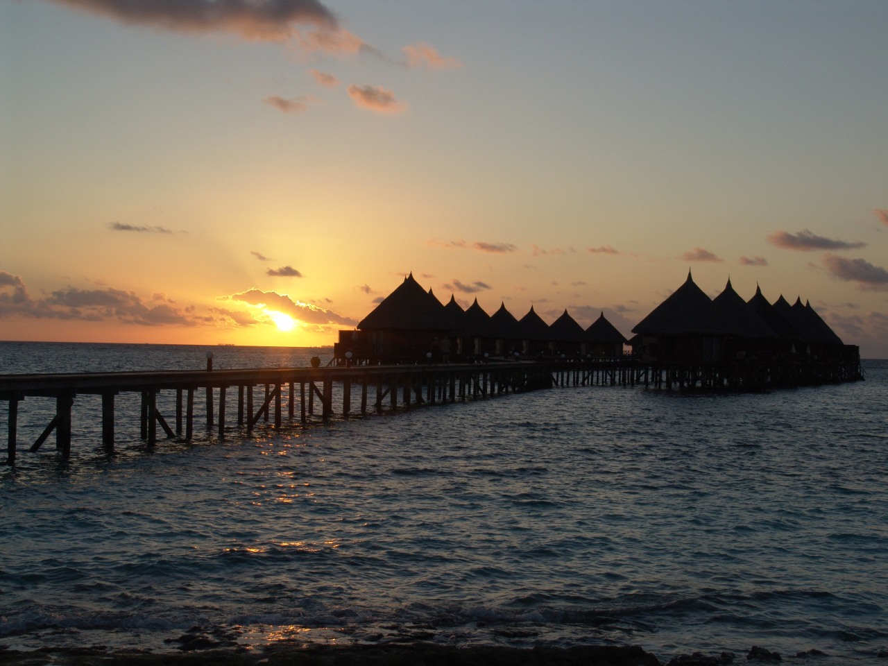 Wasserbungis im Sonnenuntergang