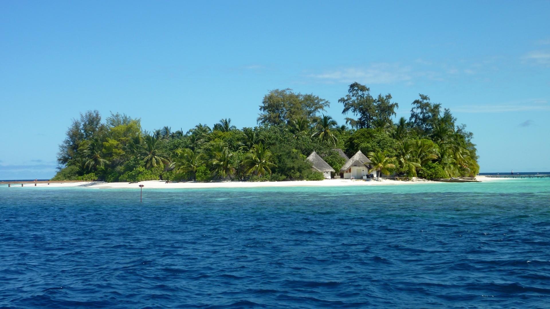 Blick zur Insel vom Boot