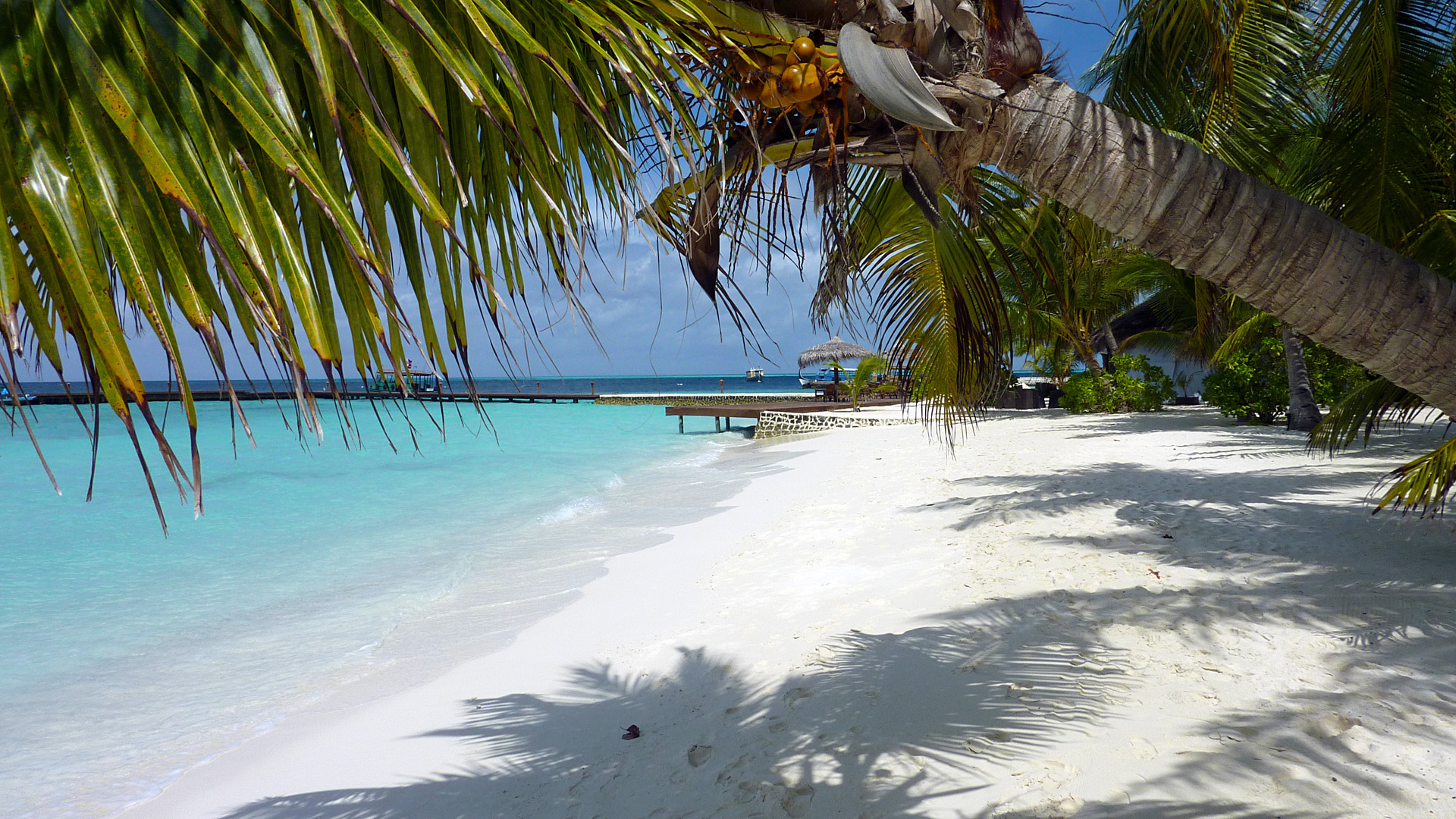 Blick zur Bar und zum Main Jetty