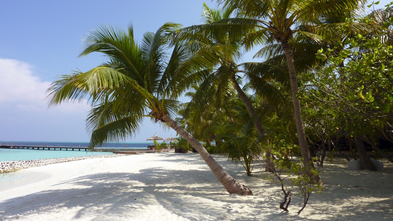 Blick zur Strandbar