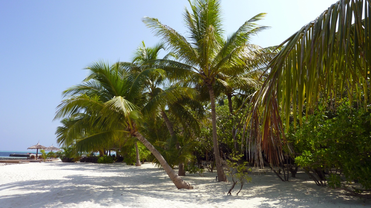 Blick zur Strandbar