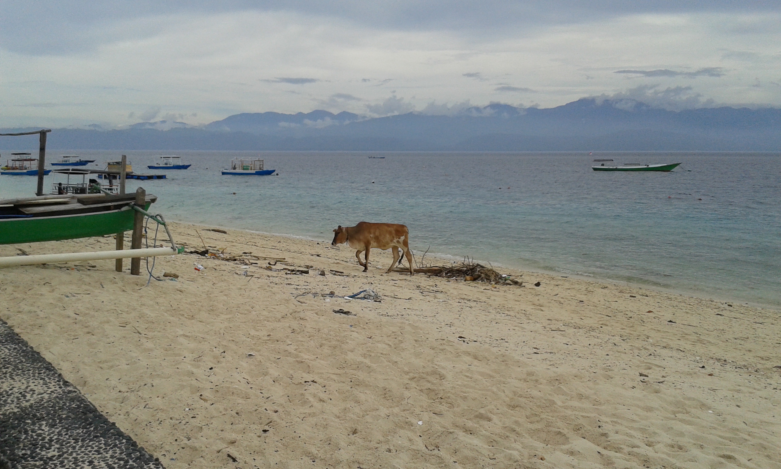 Regelmäßiger Besuch am Strand