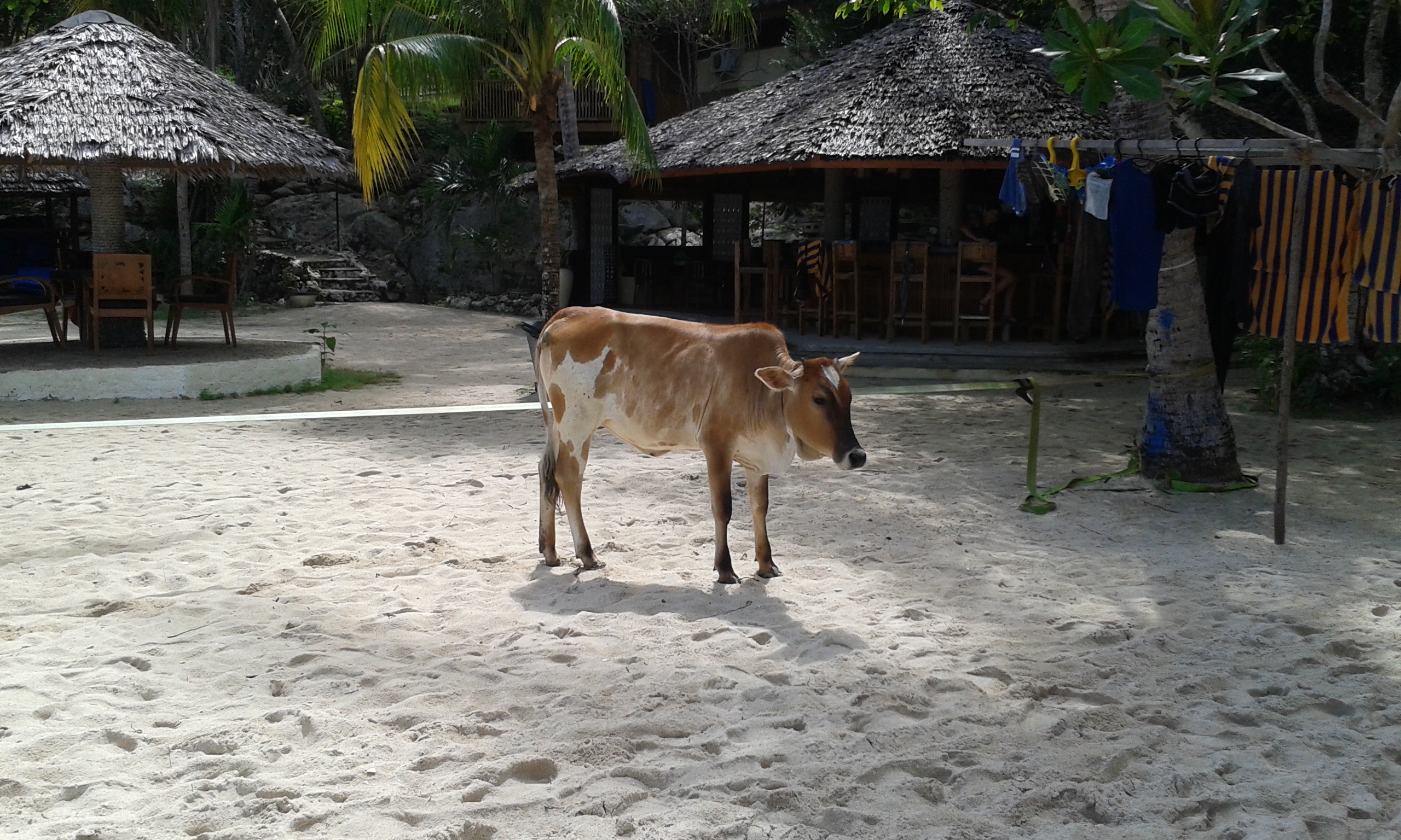 Besuch im Resort ud an der Bar