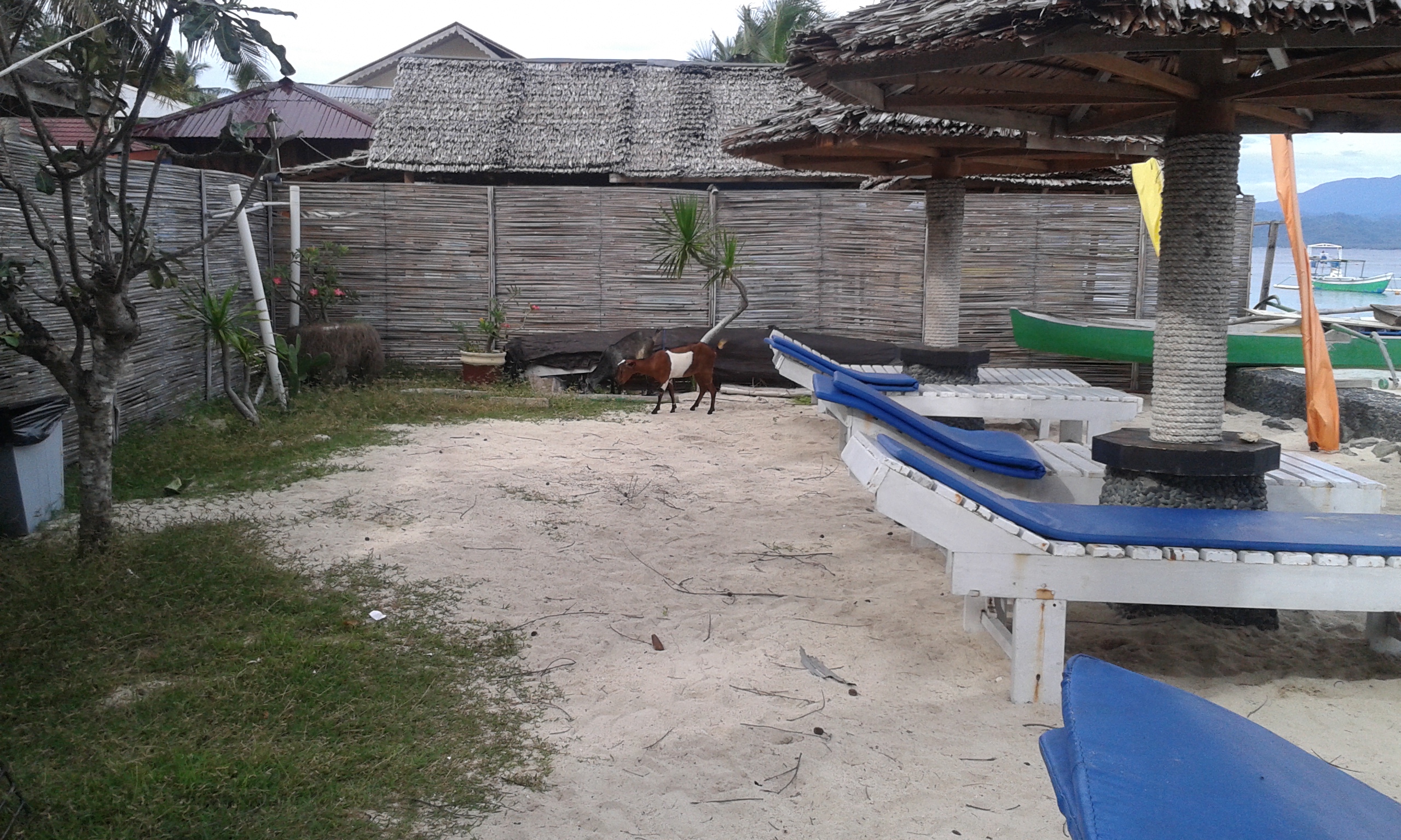 Ein anderer Besuch am Strand