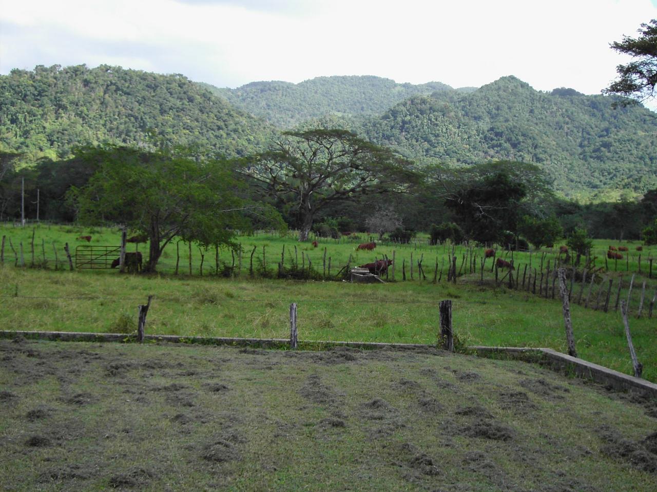 Ranch bei YS Falls