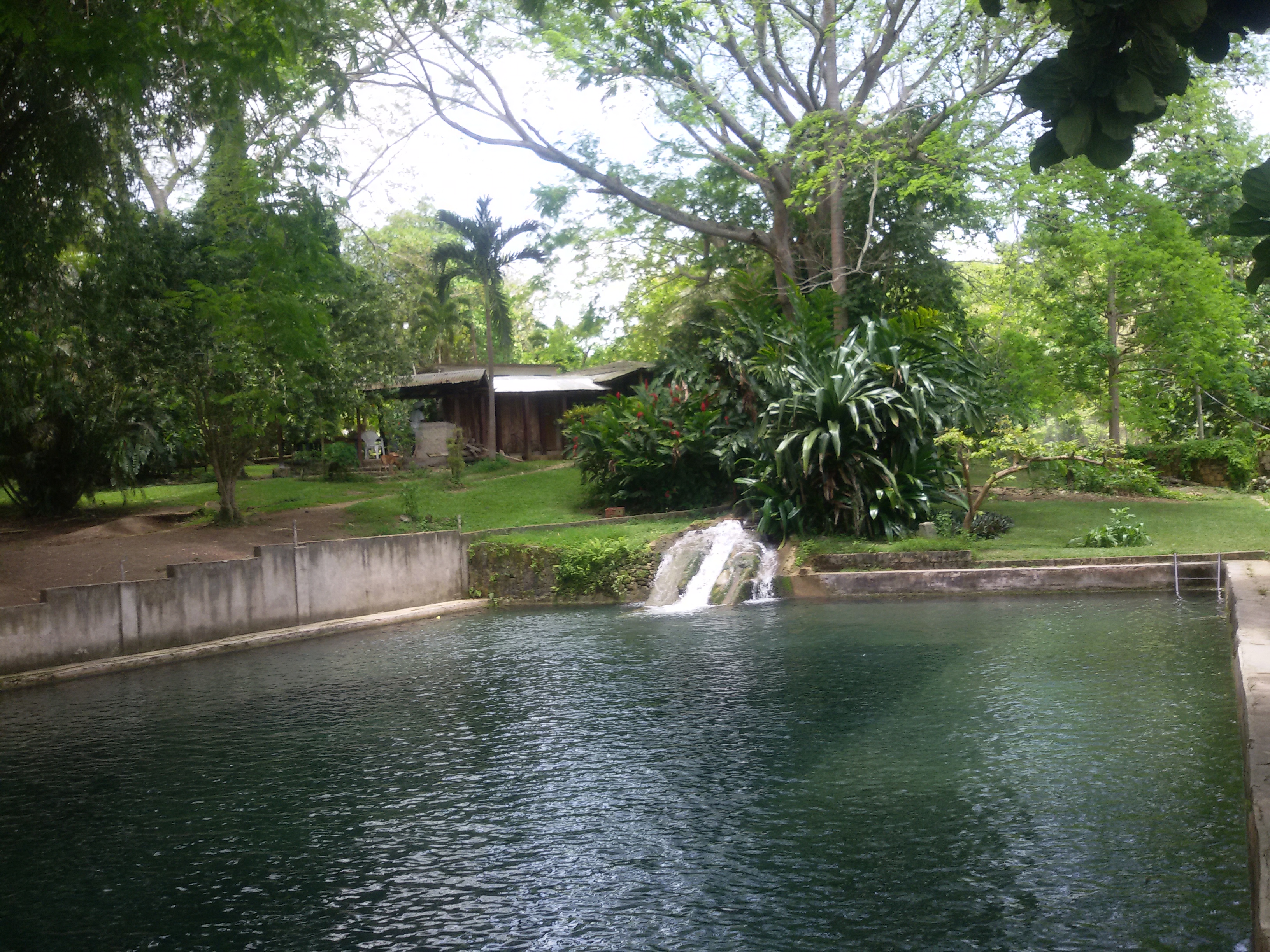 Naturpool mit Wasserfall