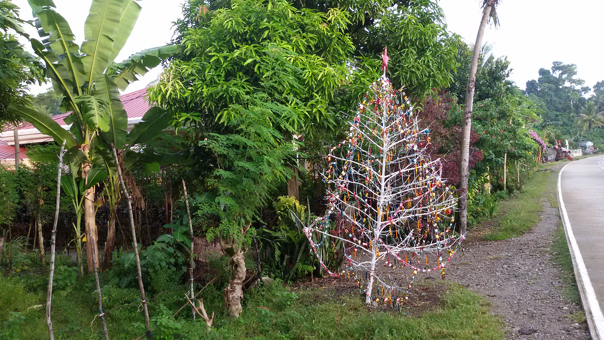 Weihnachtsbaum in Duyong