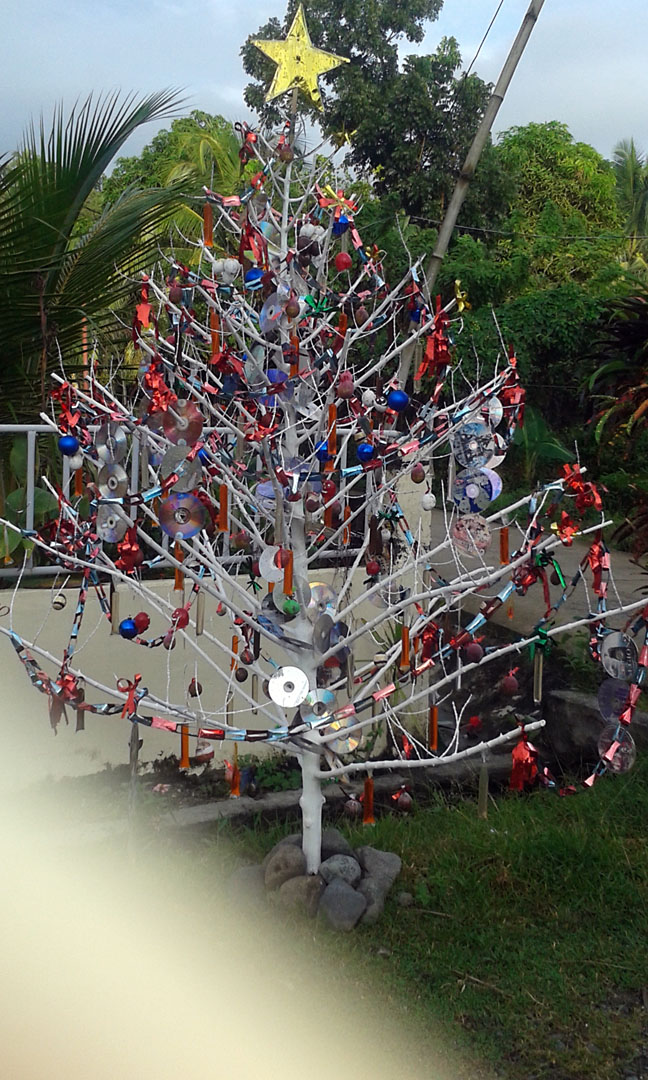 Weihnachtsbaum in Tingib