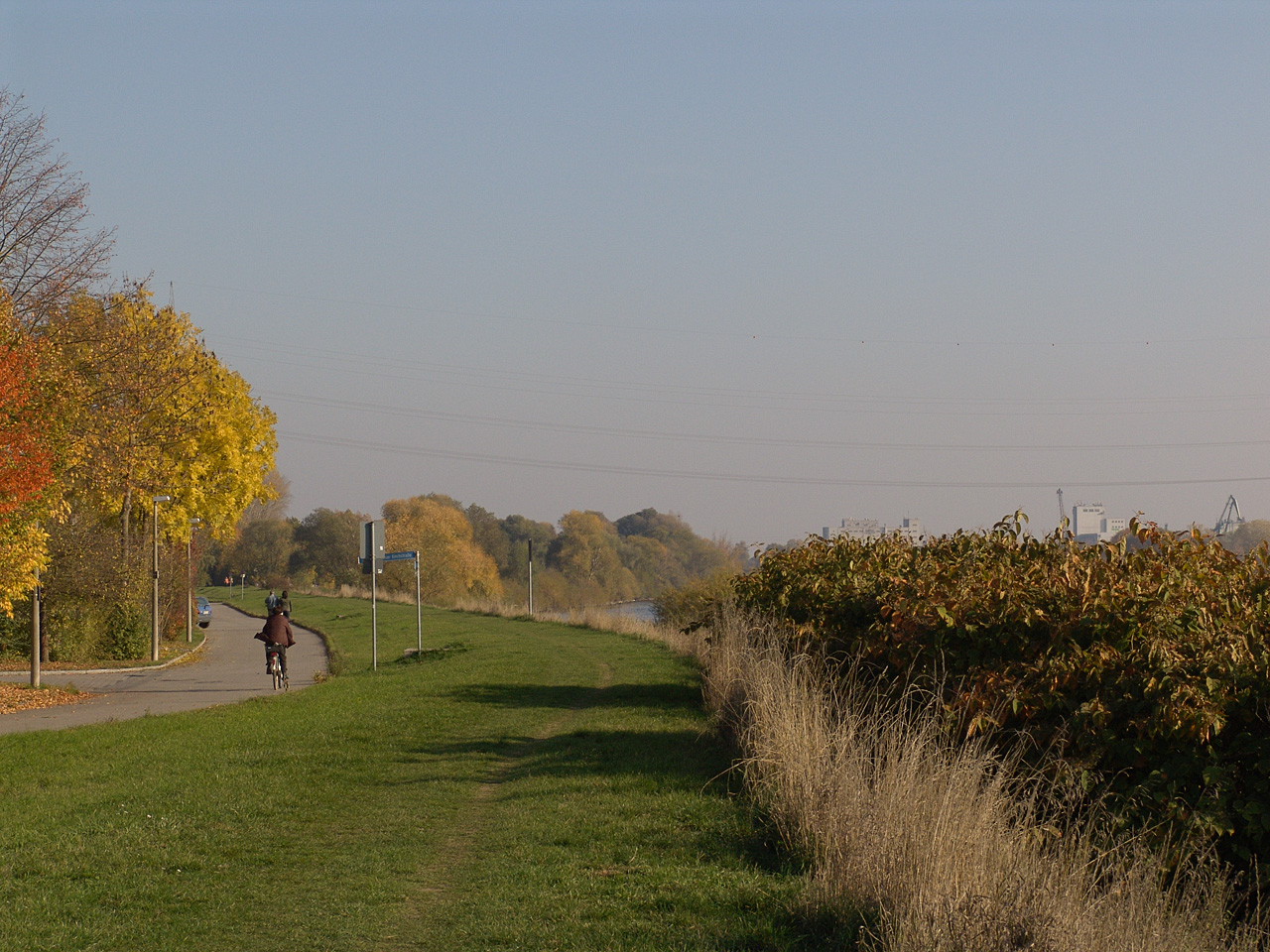 Am Donauufer