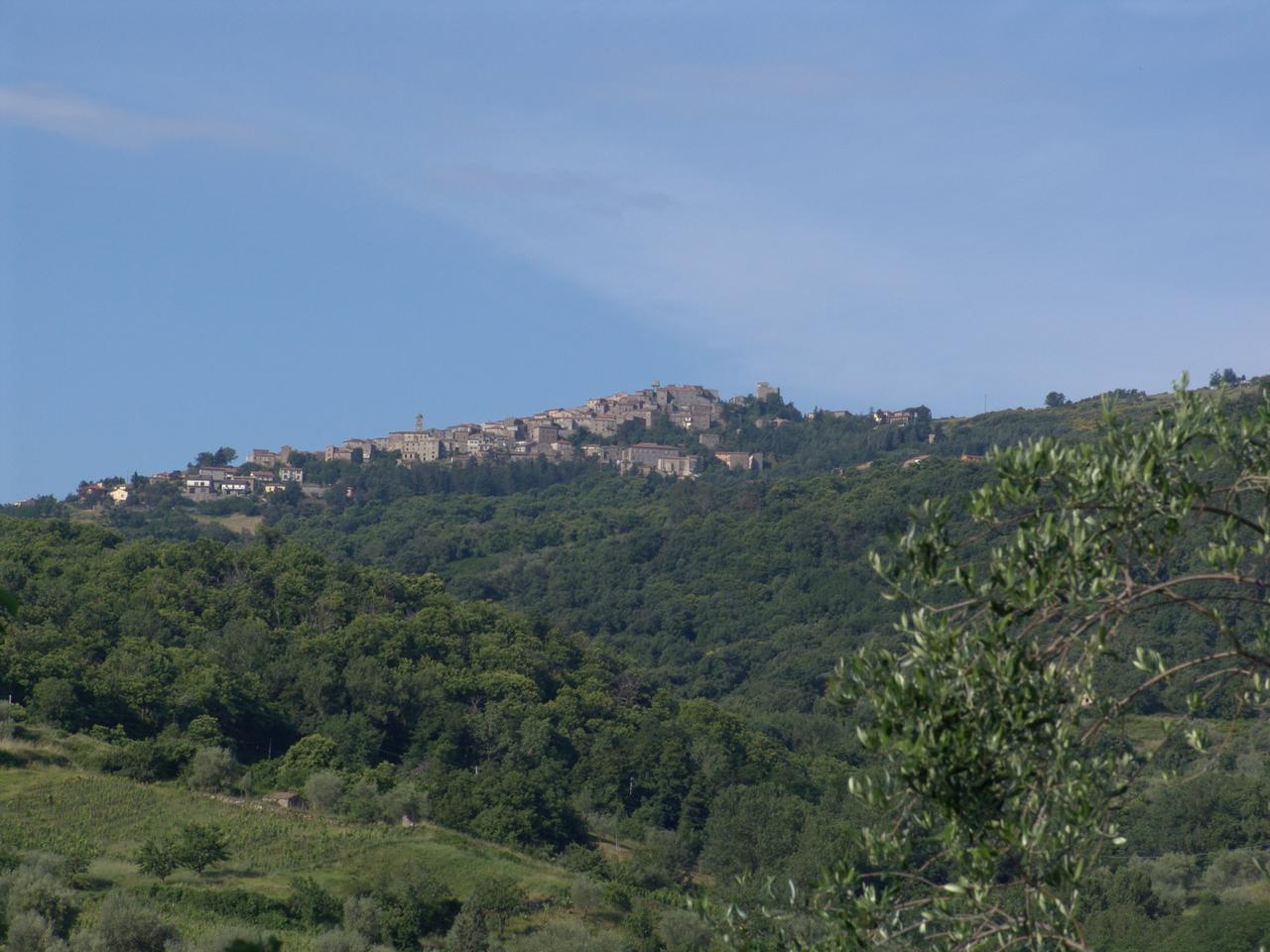 Blick von der Terrasse