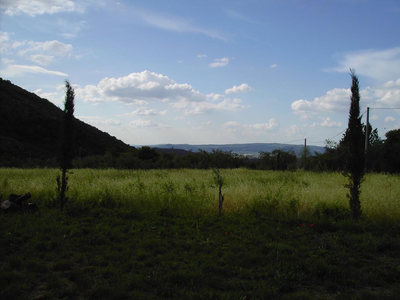 Blick von unserer Terrasse