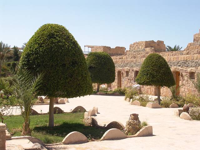 Garten mit Zugängen zu den Zimmern