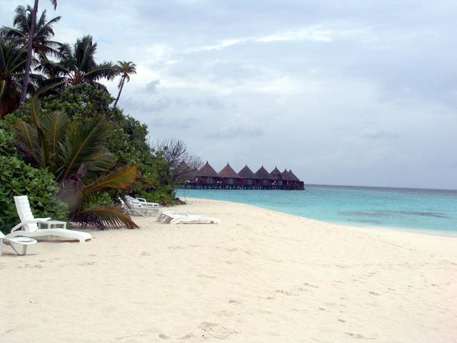 Wasserbungis (von Strand bei ca. Bungi 123 fotografiert)