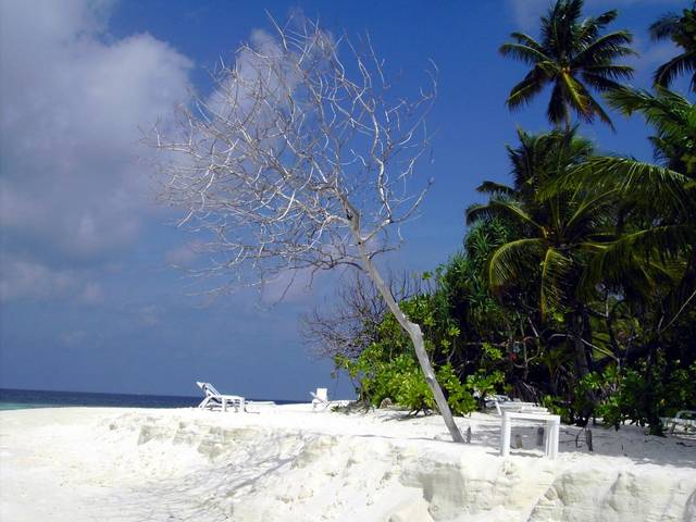 Strand bei Bungi 130