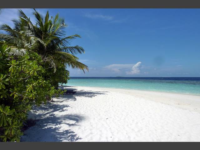 Strand vor Bungi 140