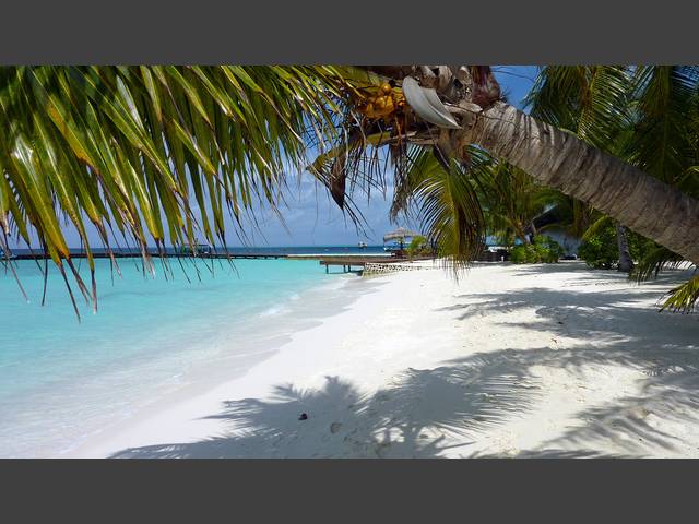 Blick zur Bar und zum Main Jetty