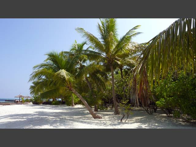 Blick zur Strandbar