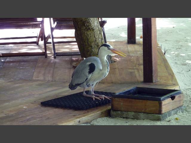 Heiner auf unserer Terrasse