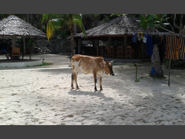 Besuch im Resort ud an der Bar