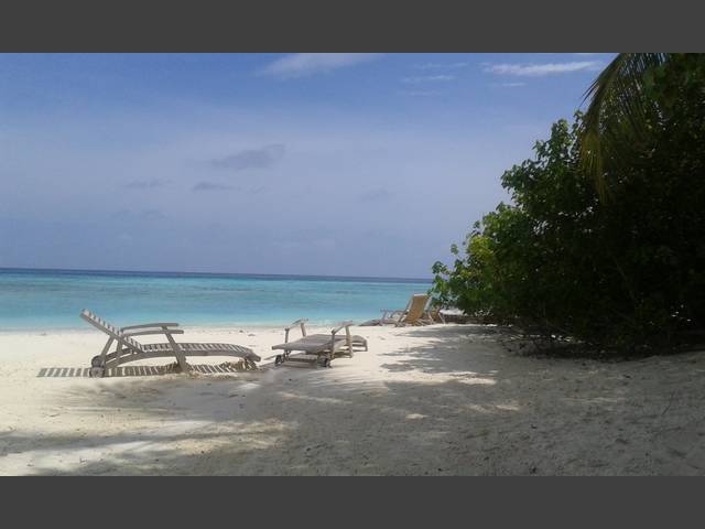 Einsamkeit am Strand