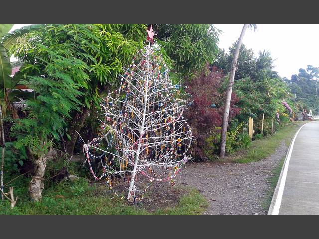 Christbaum in Duyong