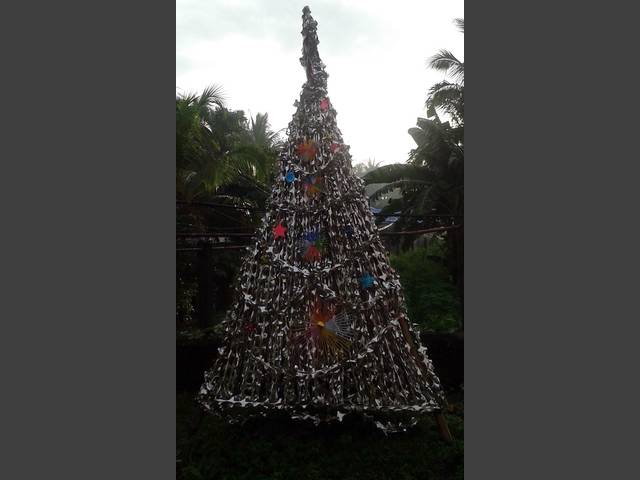 Christbaum in Pandan