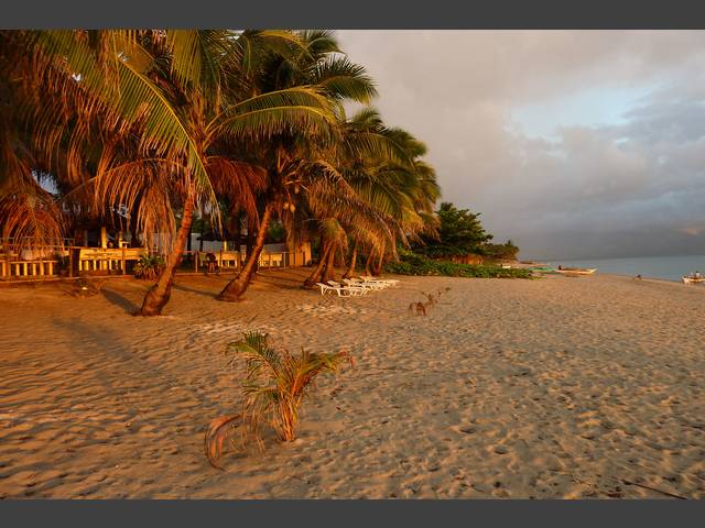 Strand vom Phaidon Beach