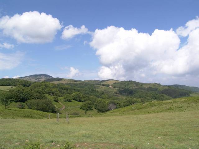 Parco faunistico di Monte Amiata