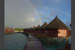 Regenbogen über Wasserbungis