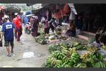 Bananen am Markt in Donggala