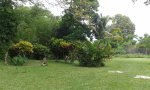 Wunderschöner Garten eines Rastafari