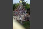 Weihnachtsbaum in Tingib