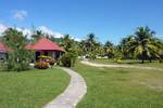 Der Garten im Phaidon Beach