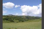 Parco faunistico di Monte Amiata