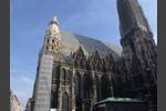 Der Stephansdom